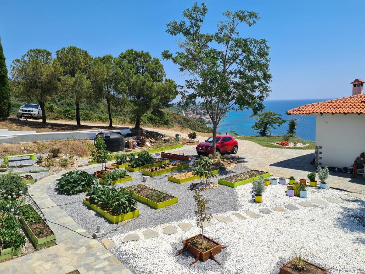 Greco Paradise Suites - Adult Only Nea Skioni Exterior foto